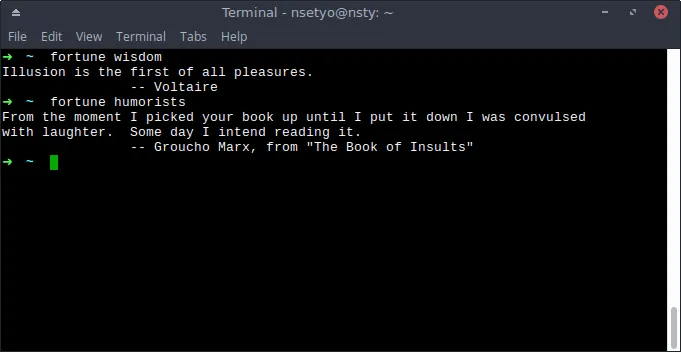 A terminal showing 'fortune wisdom' command output