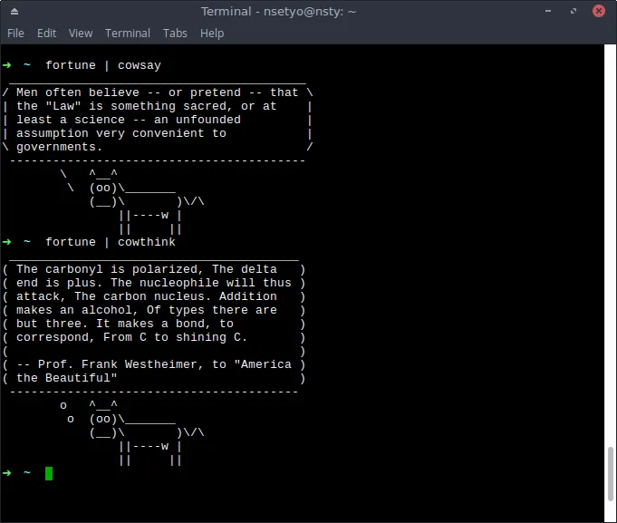A terminal showing 'fortune | cowthink' command output