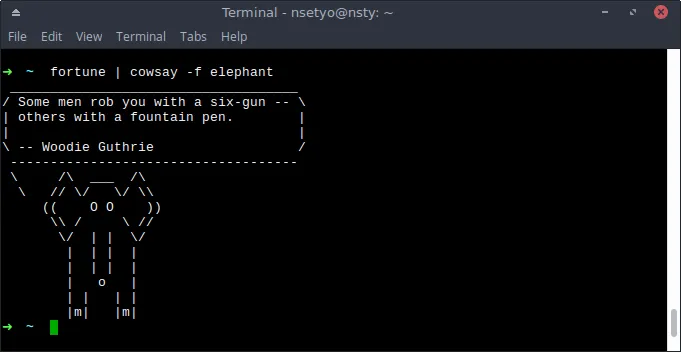 A terminal showing 'fortune | cowsay -f elephant' command output