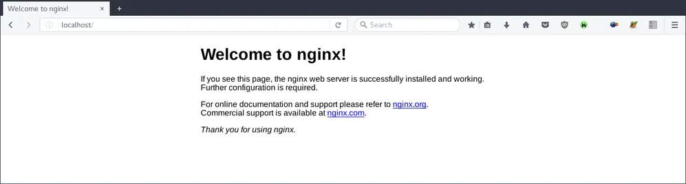 Web browser show localhost with nginx default page